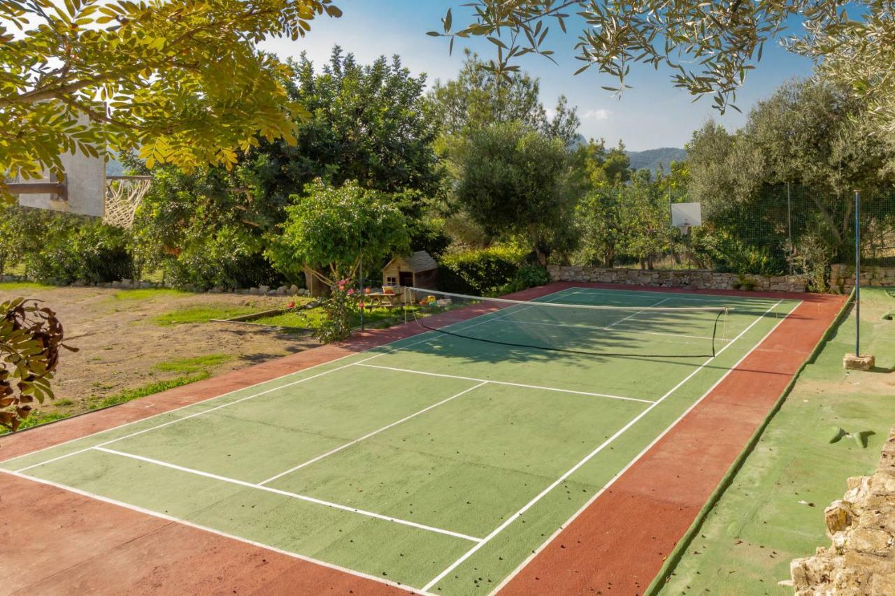 Es Serval :) Relax And Sports Alcudia  Zewnętrze zdjęcie